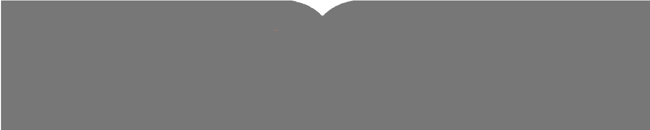 Footer Image
